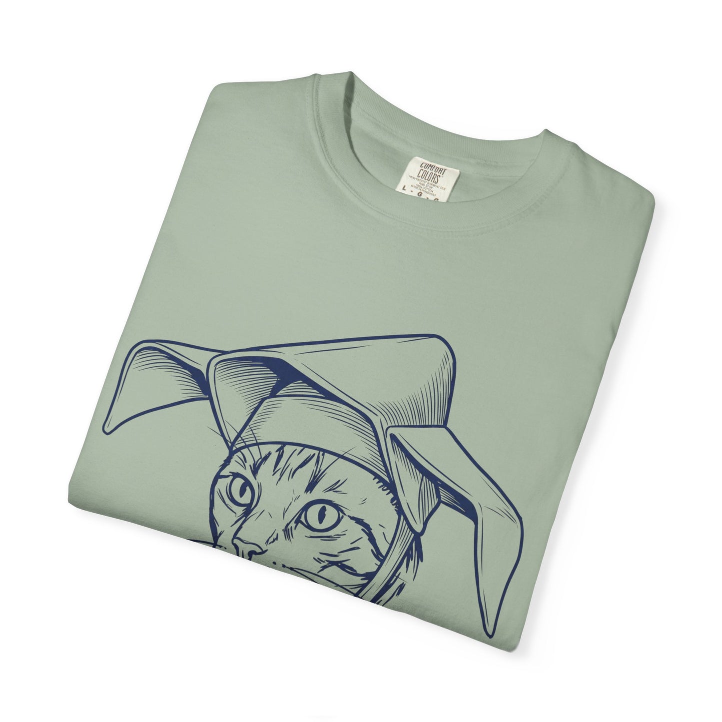 The Flying Cat Nun