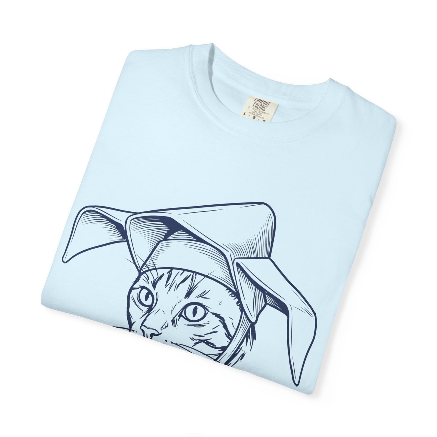 The Flying Cat Nun