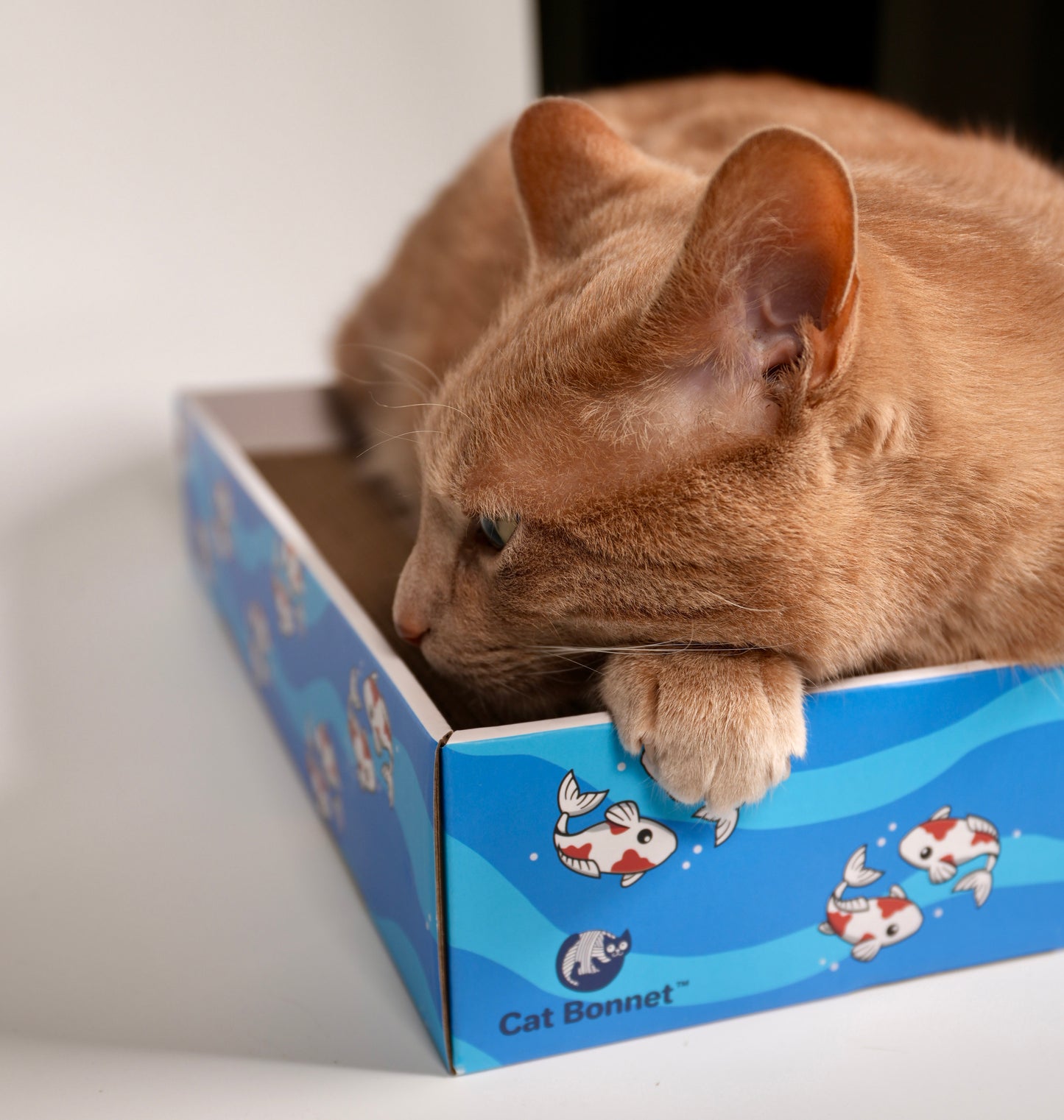 Rectangular Cat Scratcher with 3 Cardboard Pads